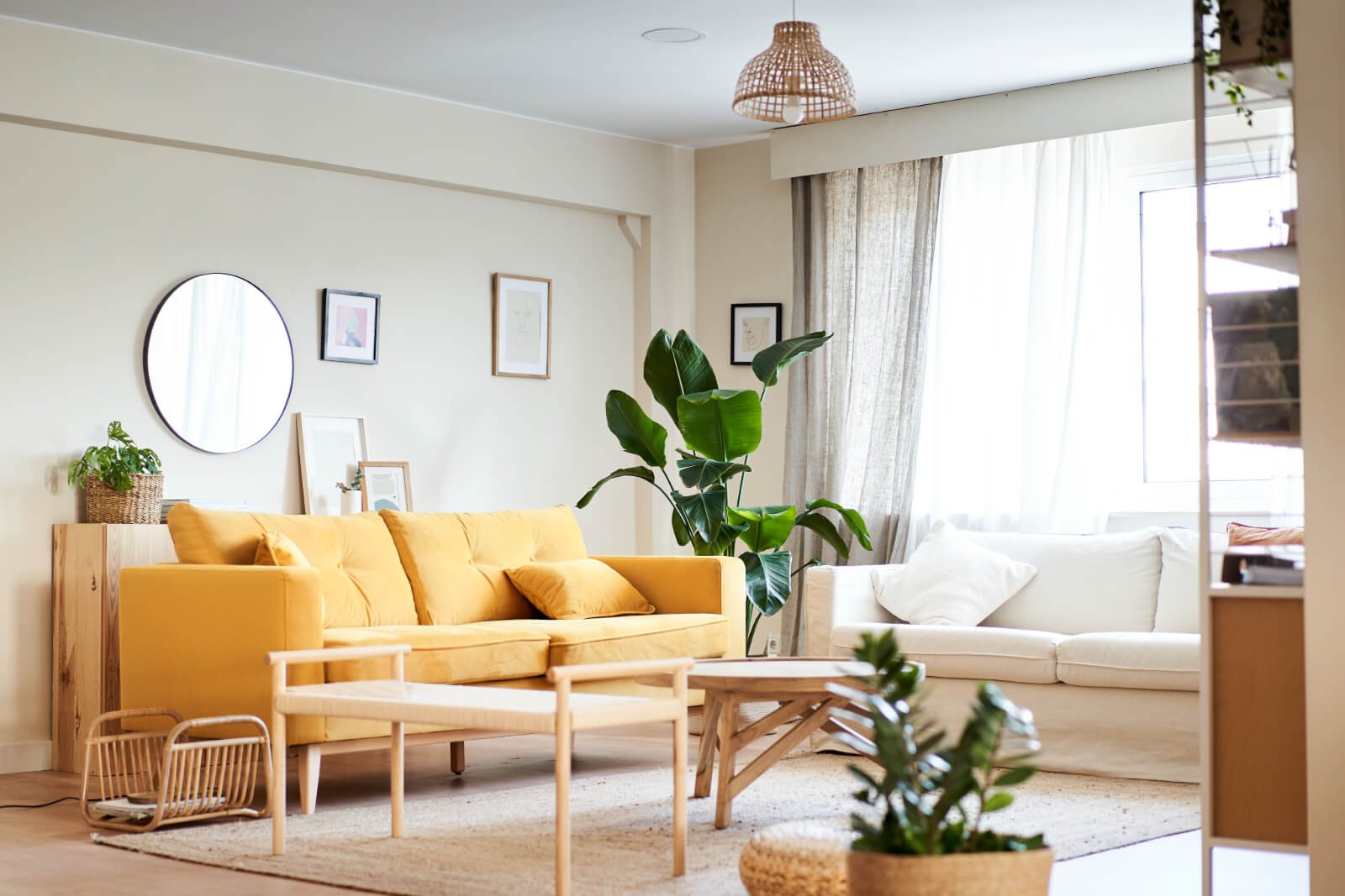 Modern living room with plants