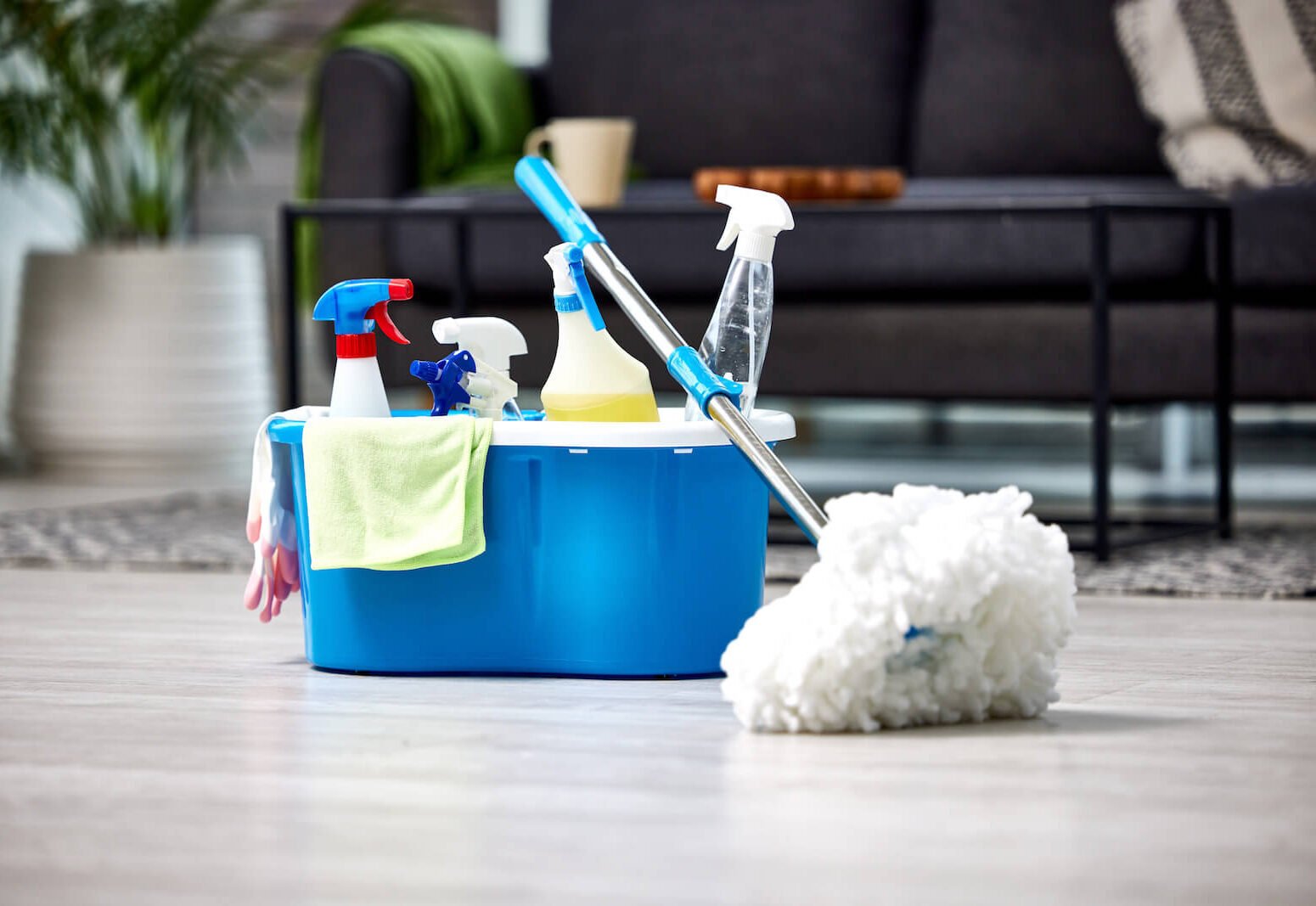 Bucket filled with cleaning supplies on living room floor