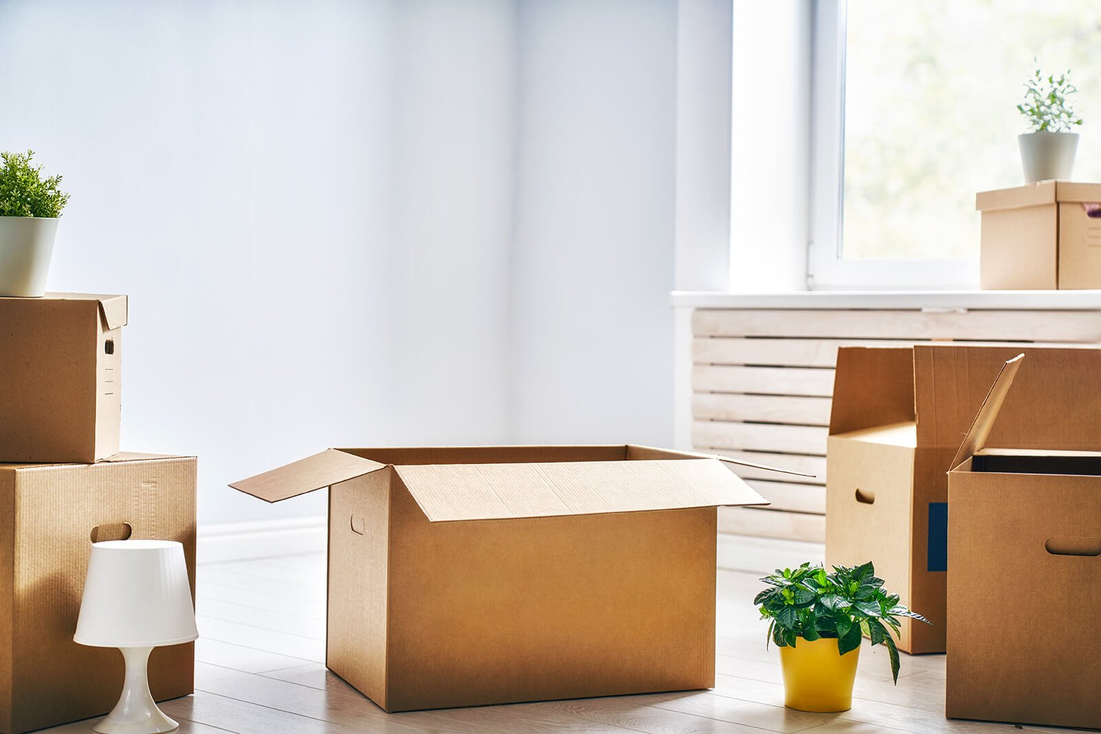 Moving Boxes in an Empty Home